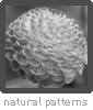 naturalpatterns